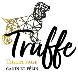 logo_truffe_internet_couleur